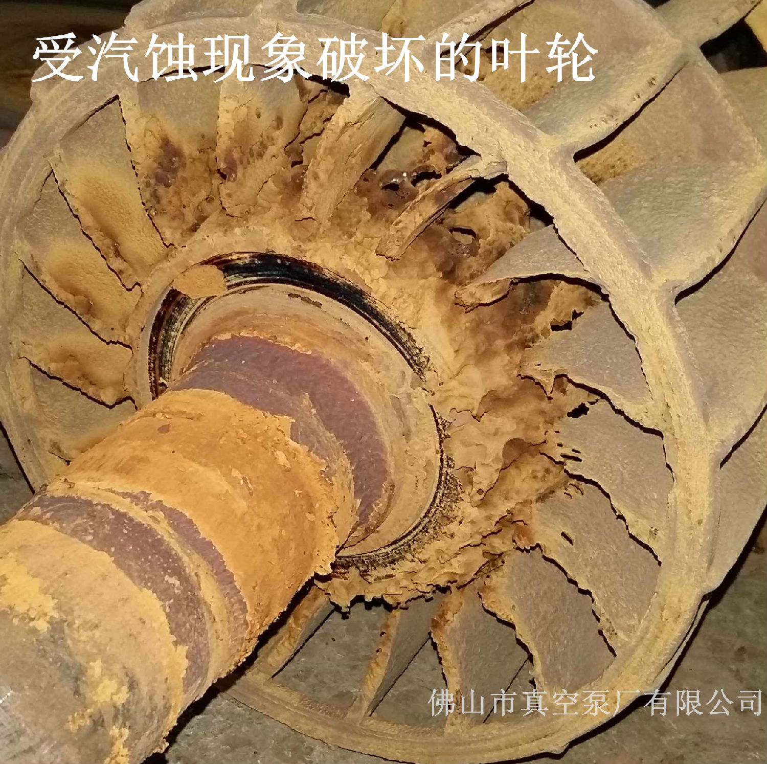 受腐蝕破壞的葉輪 受腐蝕破壞的葉輪