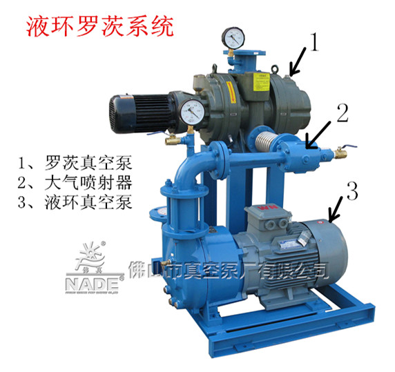 JZJPS羅茨水環(huán)機組