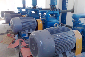 廣西永鑫華糖業(yè)有限公司使用現(xiàn)場(chǎng)